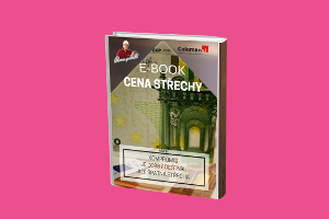 Jaký má vliv čas na cenu střechy?